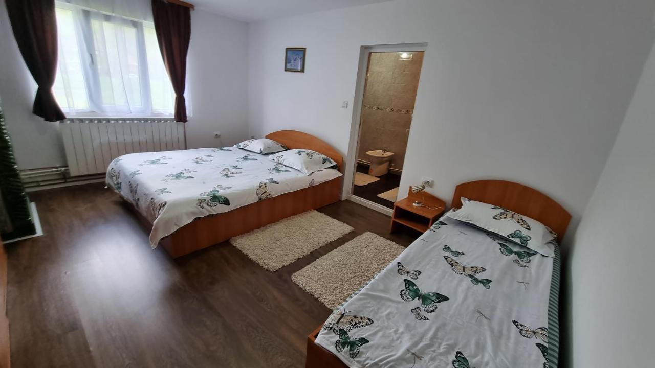 Pensiunea Barsan Vişeu de Sus Екстериор снимка